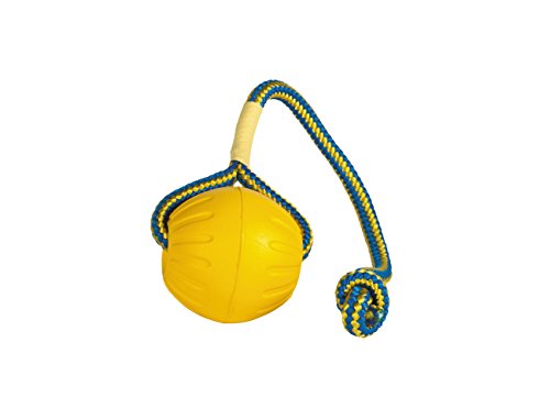 Product Cover StarMark Fantastic Foam Ball on a Rope Dog Toy, Medium