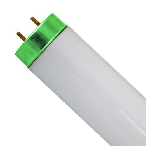 Product Cover SYLVANIA F25T12 / CW / 33-25 Watt - 33 in.- T12 - Appliance Bulb - Cool White 4200K 22529