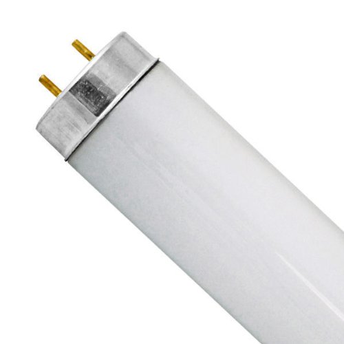 Product Cover Sylvania F25T12 / CW / 28-25 Watt - 28 in. - T12 - Appliance Bulb - Cool White 4200K 22527