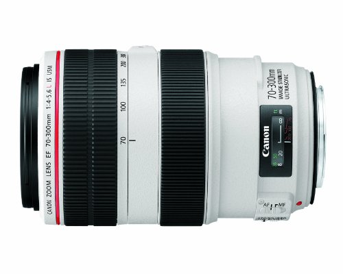 Product Cover Canon EF 70-300mm f/4-5.6L IS USM UD Telephoto Zoom Lens for Canon EOS SLR Cameras