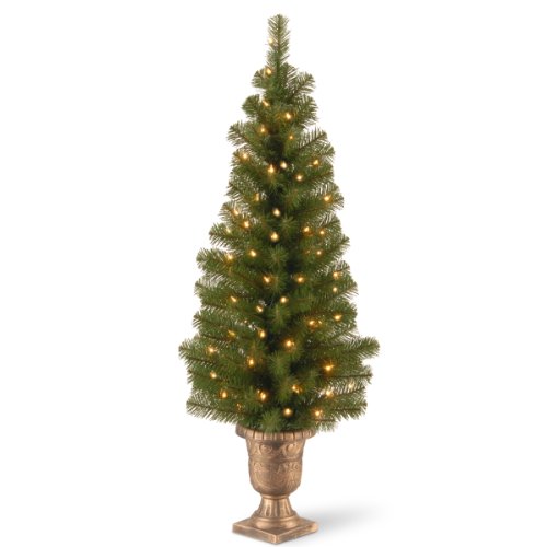 Product Cover National Tree 4 Foot Montclair Spruce Entrance Tree with 50 Clear Lights (MC7-308-40)