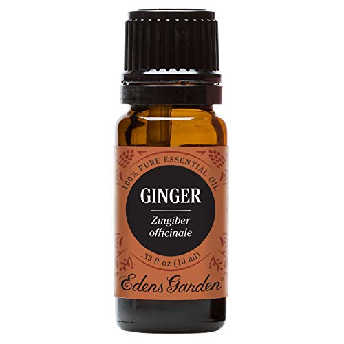 Product Cover Edens Garden Ginger Essential Oil, 100% Pure Therapeutic Grade (Highest Quality Aromatherapy Oils- Digestion & Inflammation), 10 ml