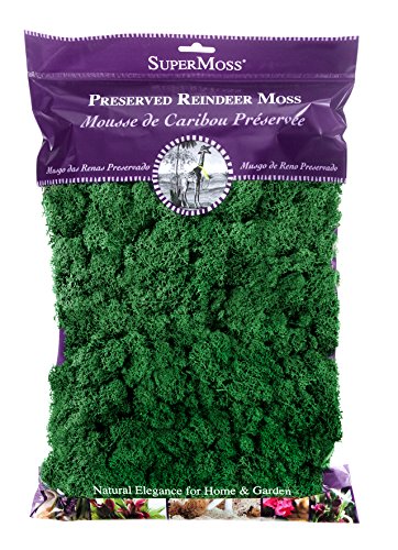 Product Cover SuperMoss (21757) Reindeer Moss Preserved, Forest, 8oz (200 cubic inch)