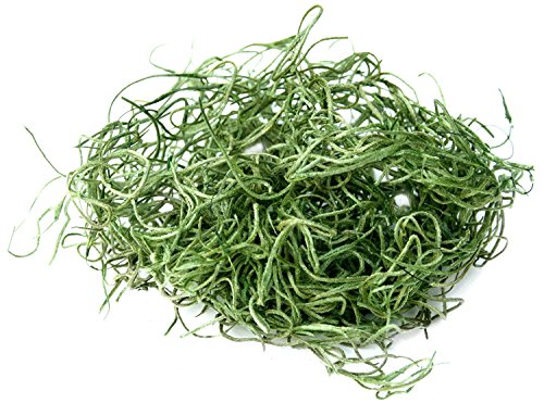 Product Cover SuperMoss (26912) Spanish Moss Preserved, Grass, 8oz (200 cubic inch)