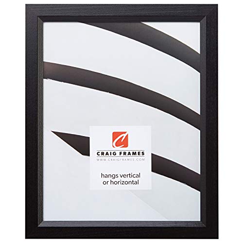 Product Cover Craig Frames 7171610BK 8.5 by 11-Inch Picture/Poster Frame, Wood Grain Finish.825-Inch Wide, Solid Black