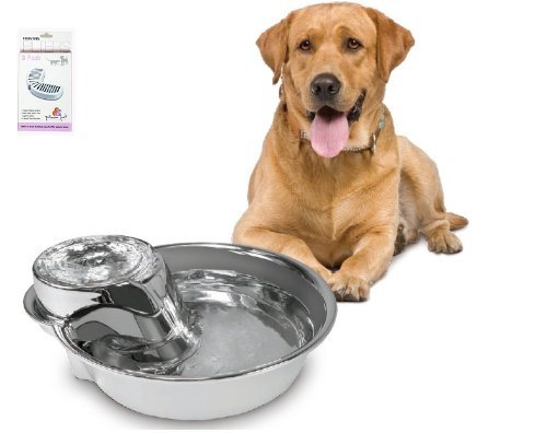 Product Cover Pioneer Pet Big Max Stainless Steel Drinking Fountain, 128 Ounces (Stainless Steel)
