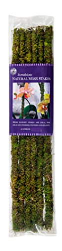 Product Cover SuperMoss (22050) Moss Stakes Preserved, Fresh Green, 18
