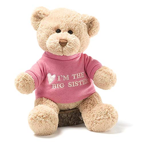 Product Cover GUND I'm the Big Sister T-Shirt Teddy Bear Stuffed Animal Plush, Pink, 12