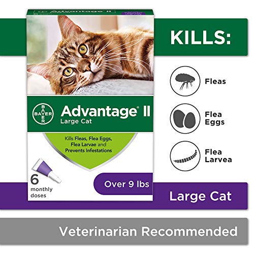 Product Cover Flea Prevention for Cats Over 9 lbs, 6 Pack, Advantage II