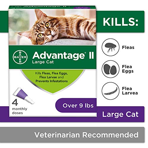 Product Cover Flea Prevention Cats, over 9 lbs, 4 doses, Advantage II