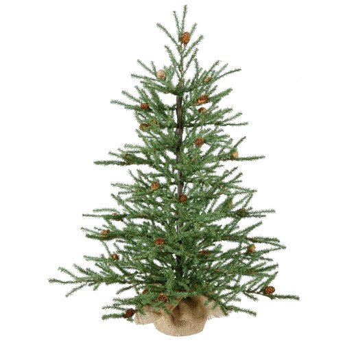 Product Cover Vickerman 36