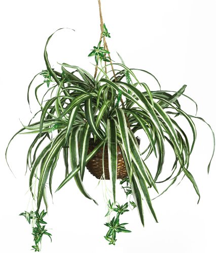 Product Cover Nearly Natural 6607 Spider Hanging Basket Decorative Silk Plant, Green