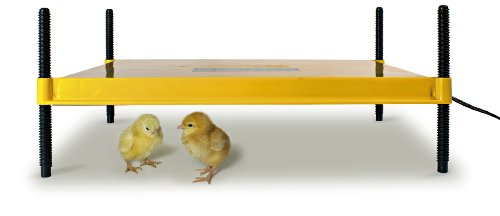 Product Cover Brinsea Products Brooder for Warming Newly Hatched Chicks and Ducklings