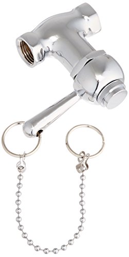 Product Cover EZ-FLO 10789 Self-Closing Shower Valve with Pull-Chain, 1/2-inch FIP, Chrome