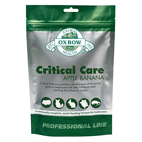 Product Cover Oxbow Critical Care Apple/Banana Pet Supplement, 1-Pound