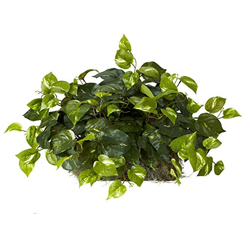 Product Cover Nearly Natural 6708 15in. Pothos Ledge Plant (Set on Foam) Silk Plant