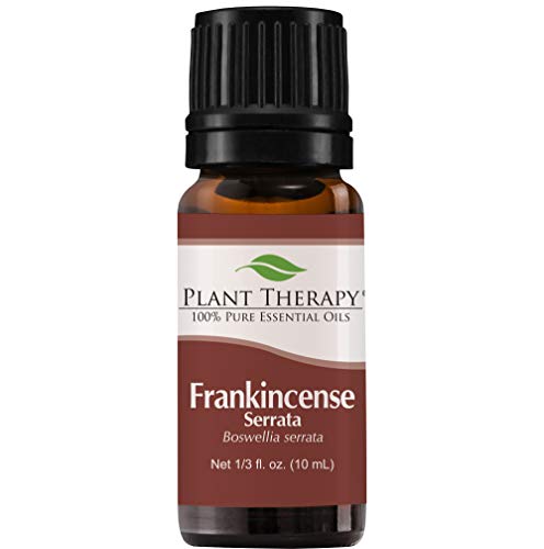 Product Cover Plant Therapy Frankincense Serrata Essential Oils 100% Pure, Undiluted, Natural Aromatherapy, Therapeutic Grade 10 mL (1/3 oz)