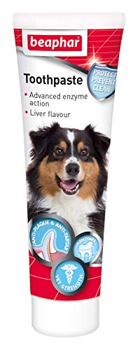 Product Cover Beaphar Toothpaste For Dogs And Cats, 100g