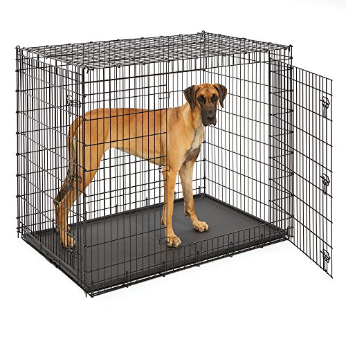 Product Cover MidWest Homes for Pets XXL Giant Dog Crate | 54 Inch Long Ginormous Double Door Dog Crate Ideal for a Great Dane, Mastiff, St. Bernard & Other XXL Dog Breeds