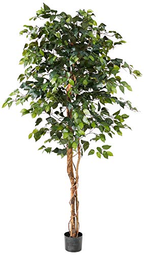 Product Cover Nearly Natural 5209 6ft. Ficus Silk Tree