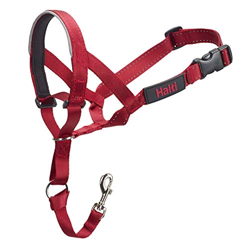 Product Cover The Company of Animals - HALTI Headcollar - Adjustable and Padded - No Pull Training Tool for Dogs on Walks - Includes Free Training Guide - Size 3 - Red