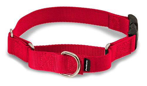 Product Cover PetSafe Martingale Collar with Quick Snap Buckle, 1