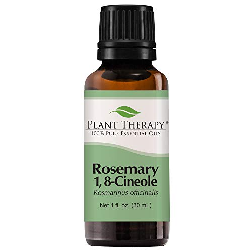 Product Cover Plant Therapy Rosemary Essential Oil 100% Pure, Undiluted, Natural Aromatherapy, Therapeutic Grade 30 mL (1 oz)
