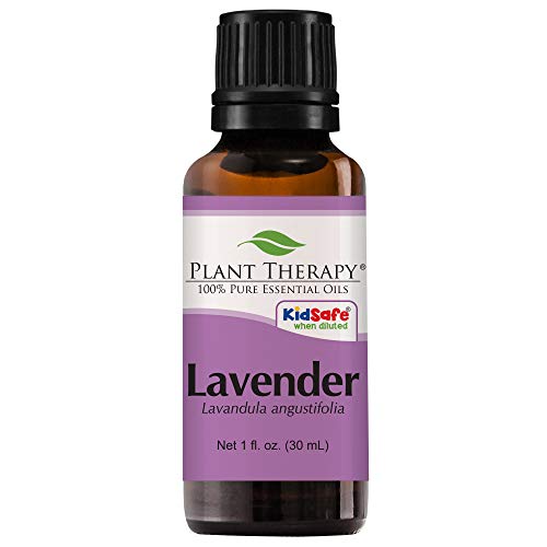 Product Cover Plant Therapy Lavender Essential Oil 100% Pure, Undiluted, Natural Aromatherapy, Therapeutic Grade 30 mL (1 oz)