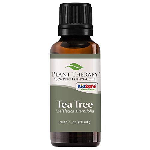 Product Cover Plant Therapy Tea Tree Essential Oil 100% Pure, Undiluted, Natural Aromatherapy, Therapeutic Grade 30 mL (1 oz)