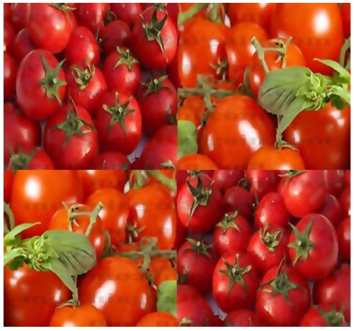 Product Cover 150 Large Red Cherry Grape Tomato Seeds Heirloom Sweet, Juicy, Bite Size ~ 1.25