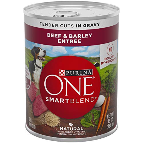 Product Cover Purina ONE Natural, High Protein Gravy Wet Dog Food, SmartBlend Tender Cuts in Gravy Beef & Barley - (12) 13 oz. Cans