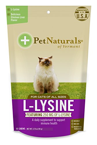 Product Cover L-Lysine Chews for Cats, Immune and Respiratory Support Supplement, 60 Bite Sized Chews (3.74oz)
