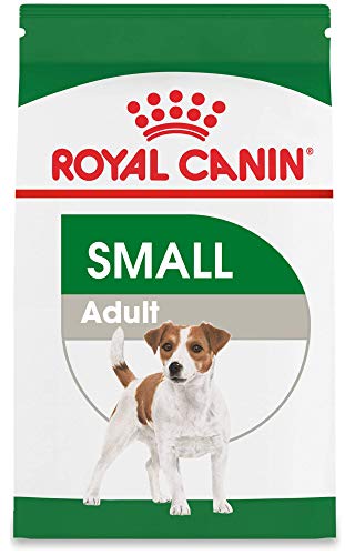 Product Cover Royal Canin Small Breed Adult Dry Dog Food, 2.5 lb. bag