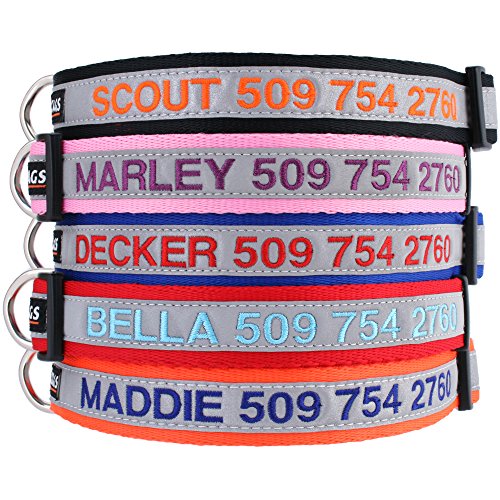 Product Cover GoTags Reflective Personalized Dog Collar, Custom Embroidered with Pet Name and Phone Number in Blue, Black, Pink, Red and Orange, for Boy and Girl Dogs, 3 Adjustable Sizes, Small, Medium, and Large