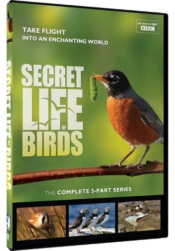 Product Cover Secret Life of Birds - 5 Part Series