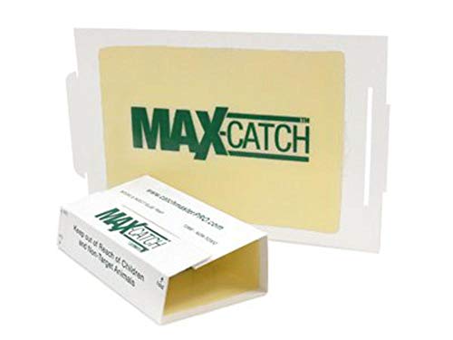 Product Cover Catchmaster 72MAX Pest Trap, 36Count, White