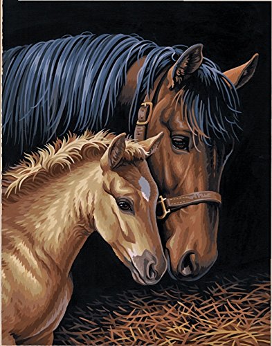 Product Cover DIMENSIONS Horse Family Paint by Numbers for Adults, 11'' W x 14'' L