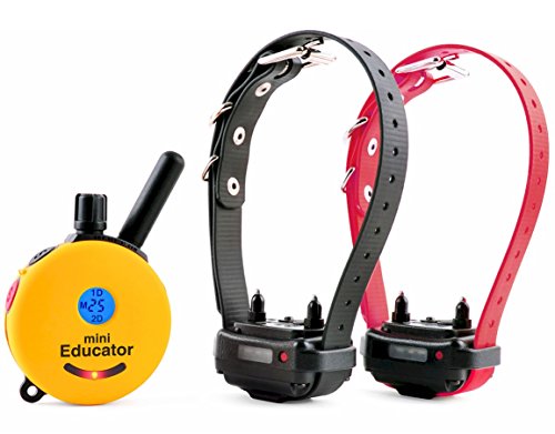 Product Cover Educator ET-302 Two Dog Mini 1/2 Mile E-Collar Remote Dog Training Collar With Vibration, Tapping Sensation and Pavlovian Stimulation