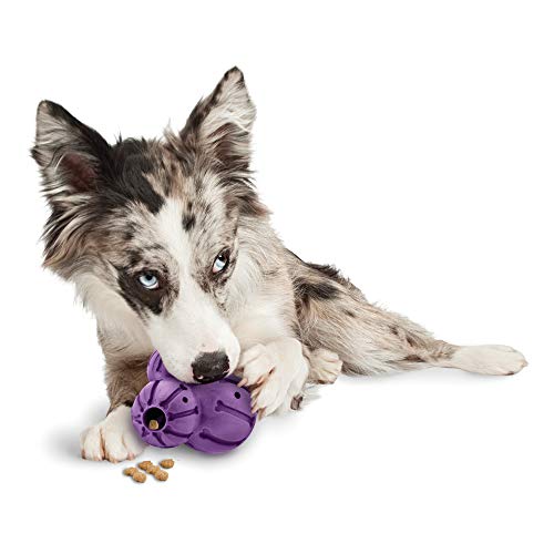 Product Cover PetSafe Busy Buddy Barnacle - Dog Chew Toy - Treat Dispensing Dog Toys