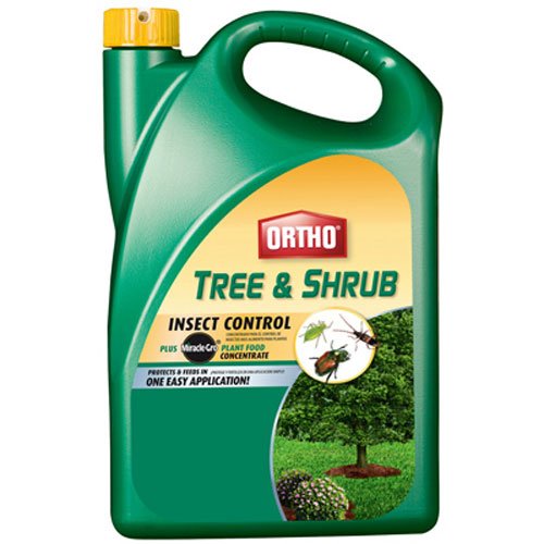 Product Cover Ortho Tree and Shrub Insect Control Plus Miracle-Gro Plant Food Concentrate (Systemic Insecticide Fertilizer)