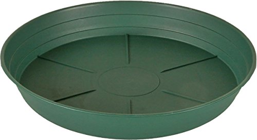Product Cover Hydrofarm HGS8P Green Premium 8-Inch, Pack of 25 Saucers, 8