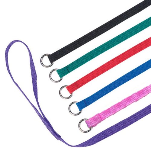 Product Cover Slip Leads Kennel Leads with O Ring for Dogs Pet Animal Control Grooming, Shelter, Rescues, Vet, Veterinarian, Doggy Daycare  (Pack of 60)