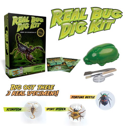Product Cover Discover with Dr. Cool Real Bug Digging Kit - Excavate 3 Genuine Specimens!