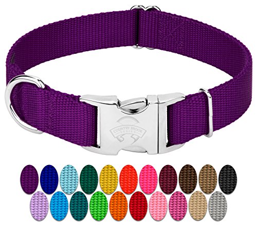 Product Cover Country Brook Petz - Premium Nylon Dog Collar with Metal Buckle - Vibrant 24 Color Selection (Large, 1 Inch Wide, Purple)