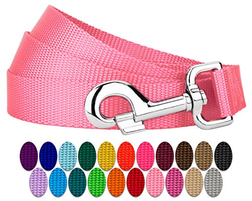 Product Cover Country Brook Petz - Vibrant 25 Color Selection - Nylon Dog Leash (1 Inch Wide, 6 Foot, Pink)