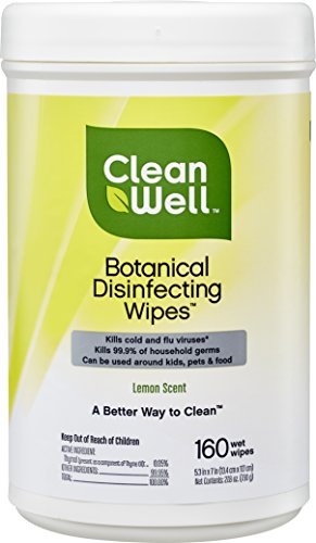 Product Cover CleanWell Botanical Disinfecting Wipes, Lemon, 160 count (1 PK) - Bleach Free, Antibacterial, Kid/Pet Friendly, Plant-Based, Nontoxic, Cruelty Free, Deodorizes