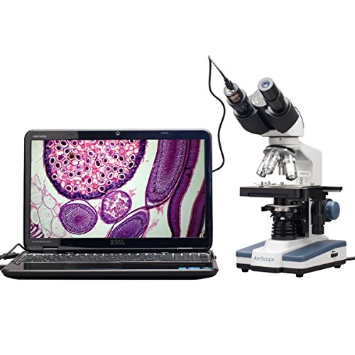 Product Cover AmScope B120C-E1 Siedentopf Binocular Compound Microscope, 40X-2500X Magnification, LED Illumination, Abbe Condenser, Two-Layer Mechanical Stage, 1.3MP Camera and Software Windows XP/Vista/7/8/10