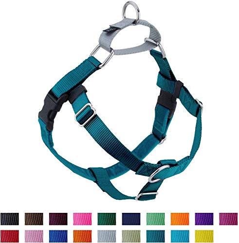 Product Cover 2 Hounds Design Freedom No-Pull No Leash Harness Only, 1-Inch, Large, Teal