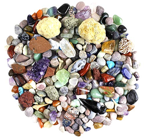 Product Cover Dancing Bear Rock & Mineral Collection Activity Kit (200 Piece Set) with Geodes, Real Shark Teeth Fossils, Arrowheads, Crystals, Gemstones, Treasure Hunt ID Sheet, STEM Science Education, Made in USA