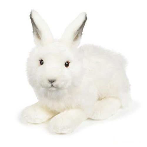 Product Cover Webkinz Signature Arctic Hare 10.5
